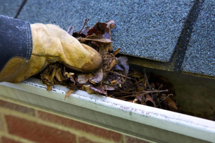 Clearing gutters image