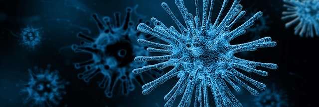 virus image