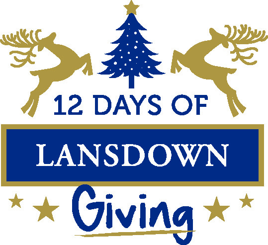 12 days of giving image
