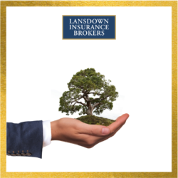 Lansdown tree image