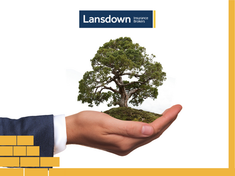 Lansdown tree image